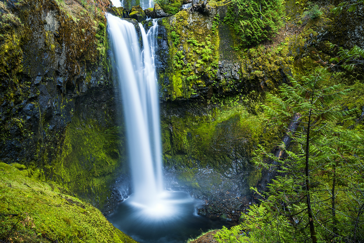#170502-1 - Falls Creek Falls, Gifford Pinchot National Forest, Washington, USA