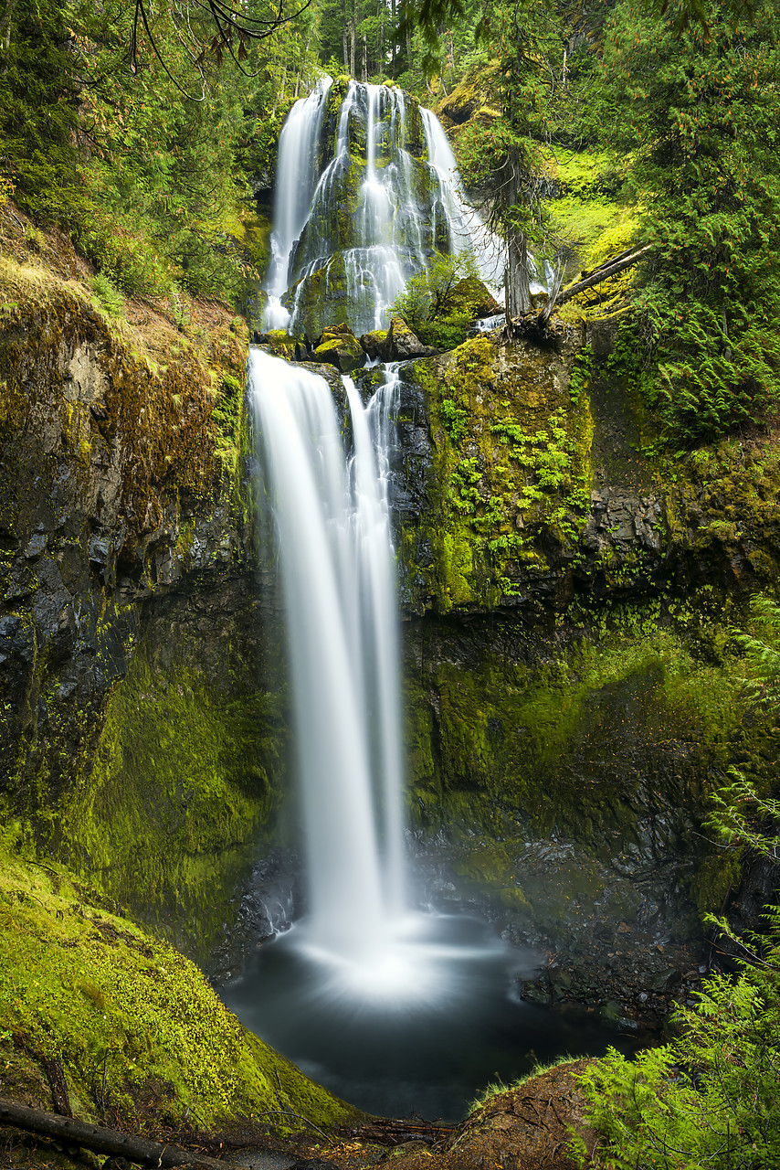 #170502-2 - Falls Creek Falls, Gifford Pinchot National Forest, Washington, USA
