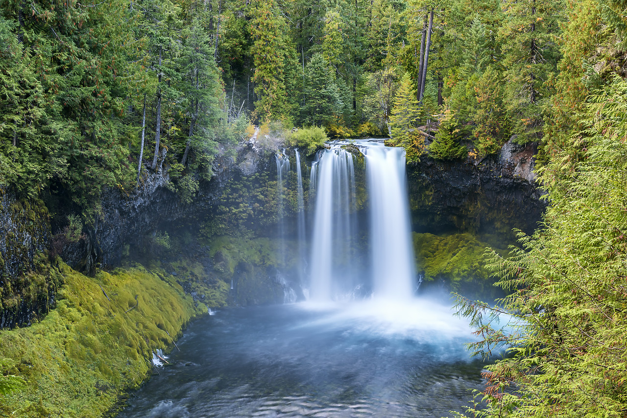 #170528-1 - Koosah Falls, Willamette National Forest, Oregon, USA