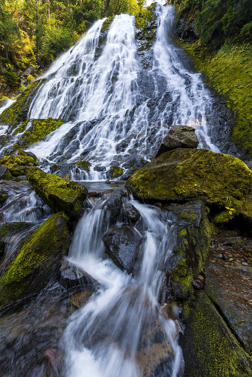 #170530-1 - Diamond Creek Falls,  Willamette National Forest, Oregon, USA