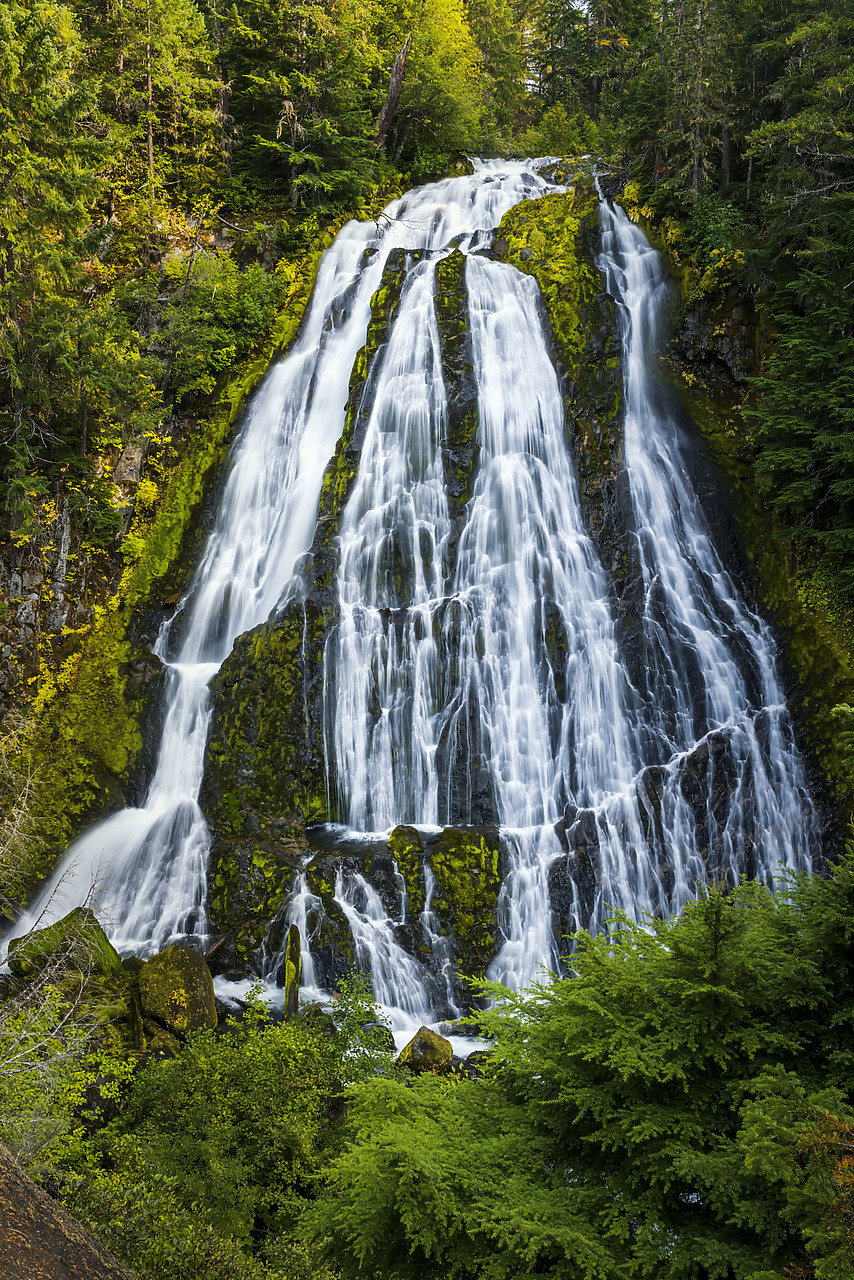 #170531-1 - Diamond Creek Falls,  Willamette National Forest, Oregon, USA