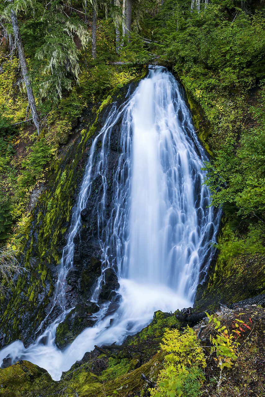 #170532-1 - Fall Creek Falls,  Willamette National Forest, Oregon, USA