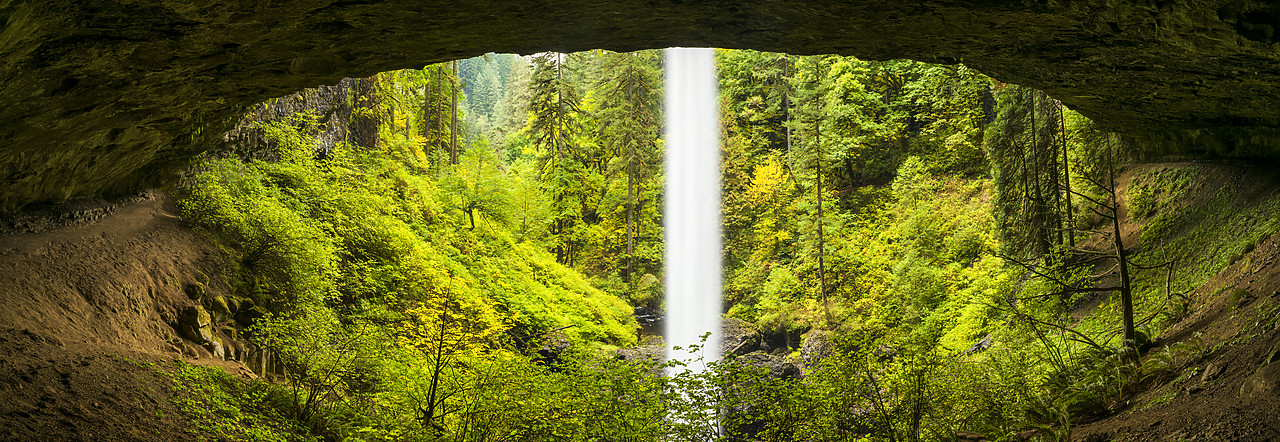 #170569-1 - North Falls, Silver Falls State Park, Oregon, USA