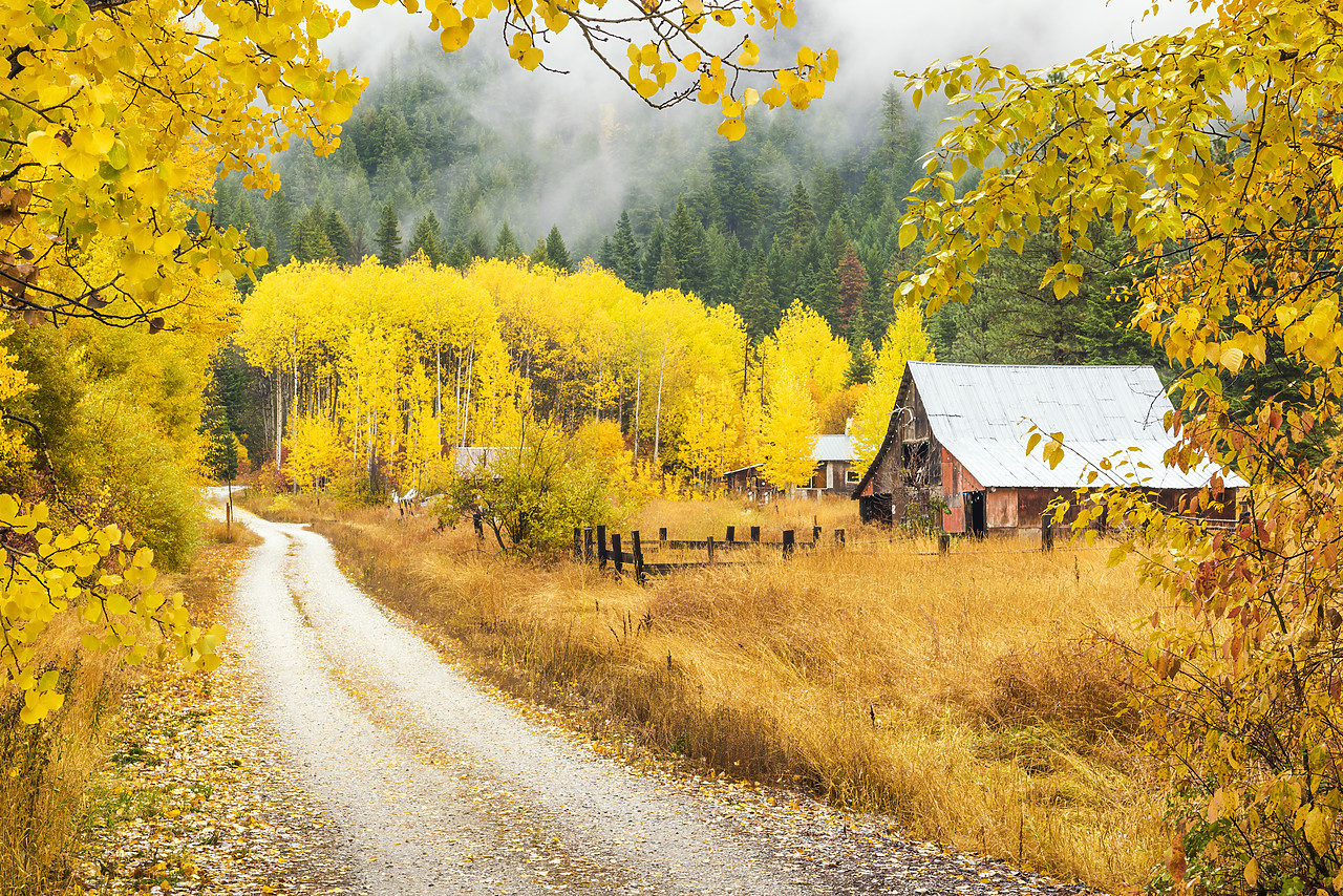 #170579-1 - Old Barn in Autumn, Wenatchee National Forest, Washington, USA