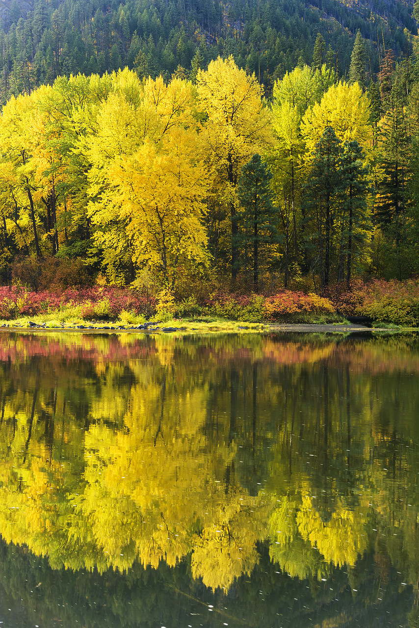 #170583-2 - Jolanda Lake Reflections in Autumn, Wenatchee National Forest, Washington, USA