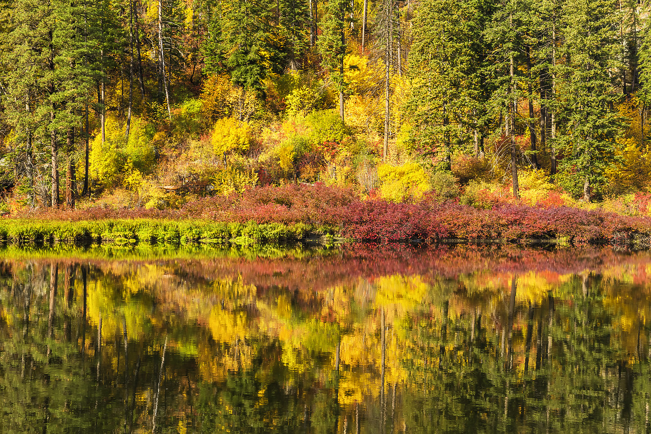#170584-1 - Jolanda Lake Reflections in Autumn, Wenatchee National Forest, Washington, USA