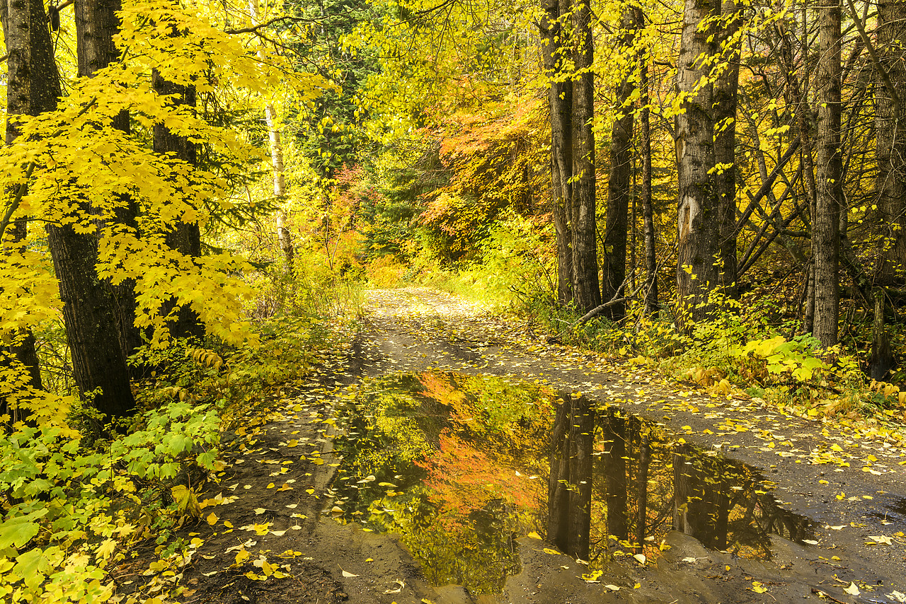 #170589-1 - Country Lane Reflections in Autumn, Wenatchee National Forest, Washington, USA