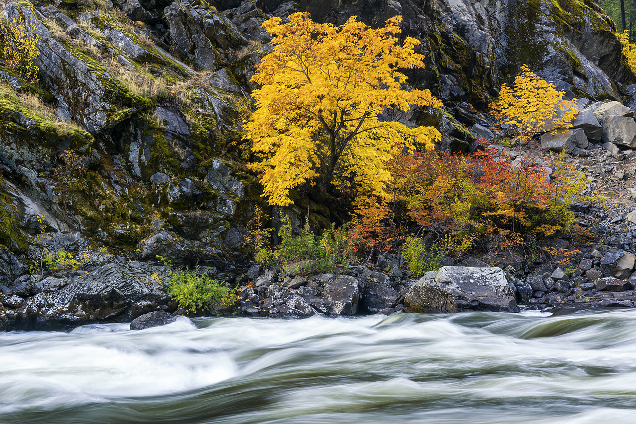#170596-1 - Tumwater Canyon in Autumn, Wenatchee National Forest, Washington, USA
