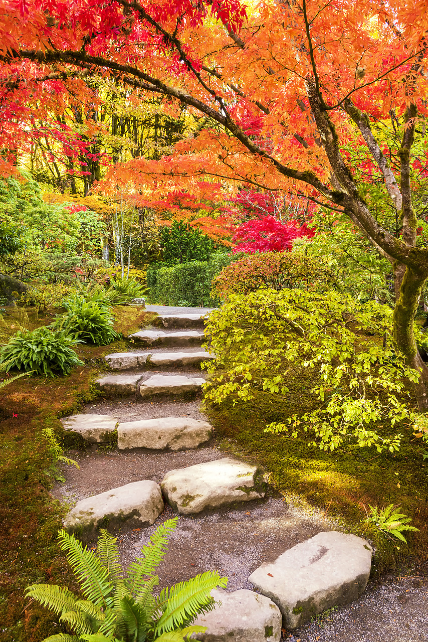 #170606-1 - Japanese Garden in Autumn, Seattle, Washington, USA