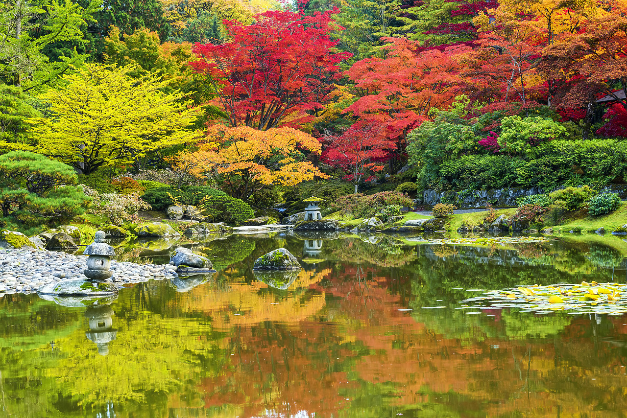 #170607-1 - Japanese Garden in Autumn, Seattle, Washington, USA