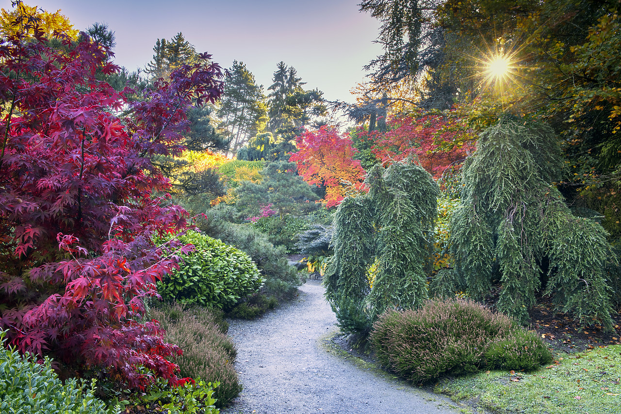 #170615-1 - Kubota Japanese Garden in Autumn, Seattle, Washington, USA