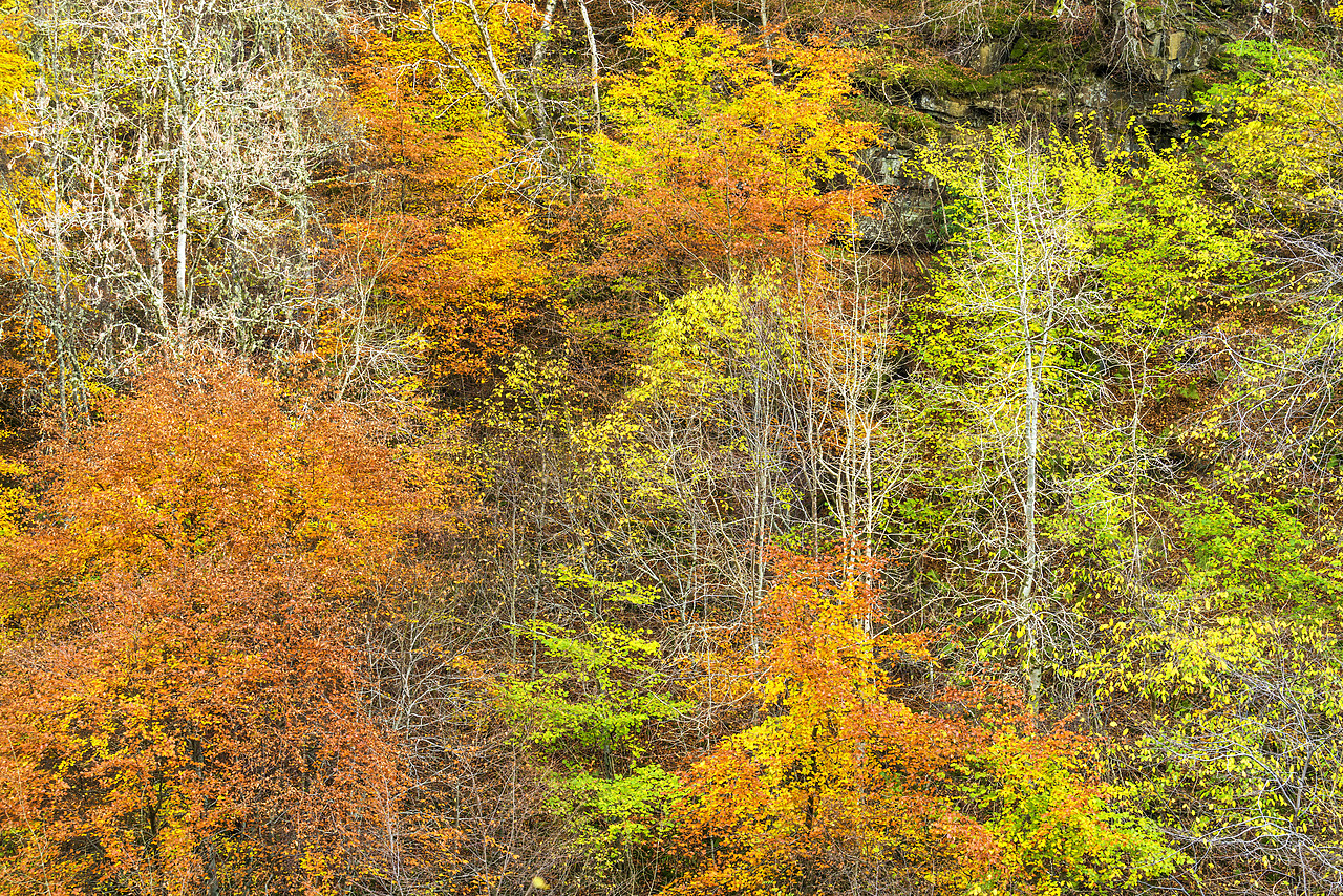 #170707-1 - Birks of Aberfeldy in Autumn, Perthshire, Scotland
