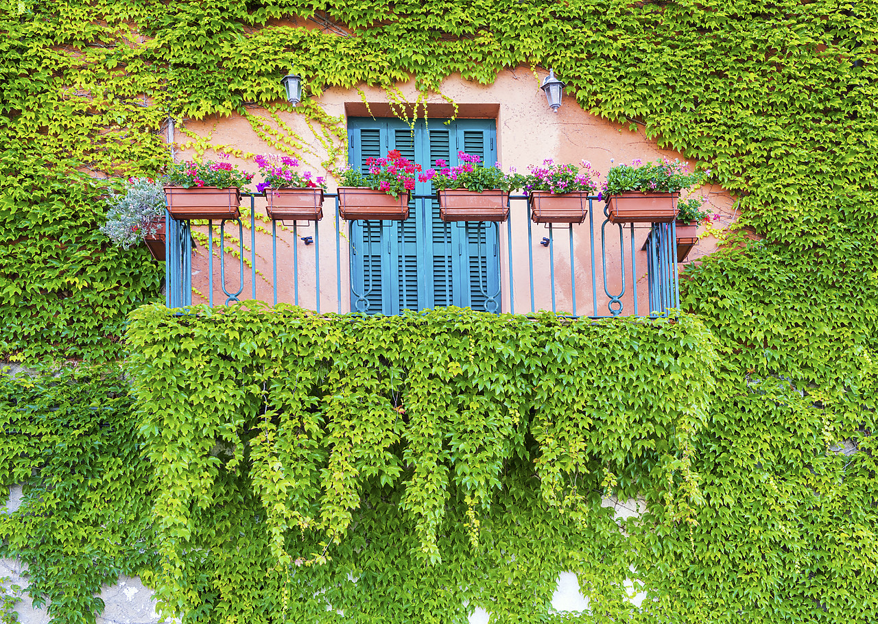 #170772-1 - Ivy-covered Balcony, Castiglione della Pescaia, Tucany, Italy