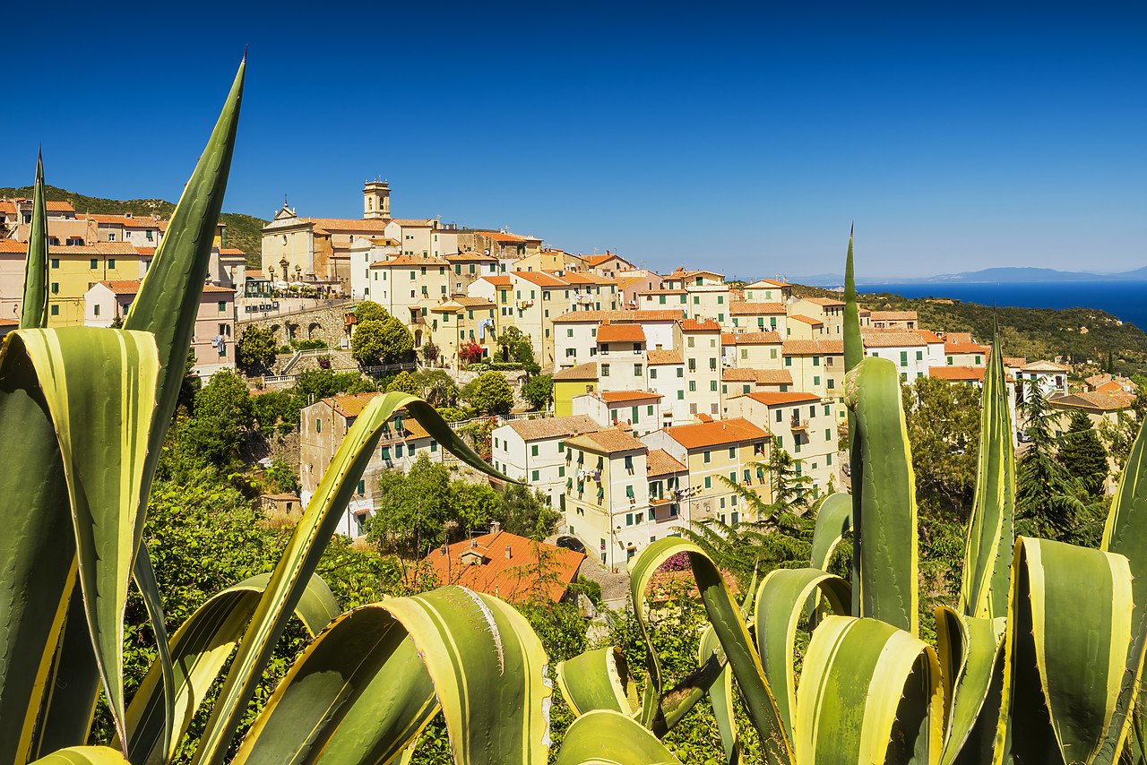 #170785-1 - Rio nell'Elba, Elba, Tuscany, Italy