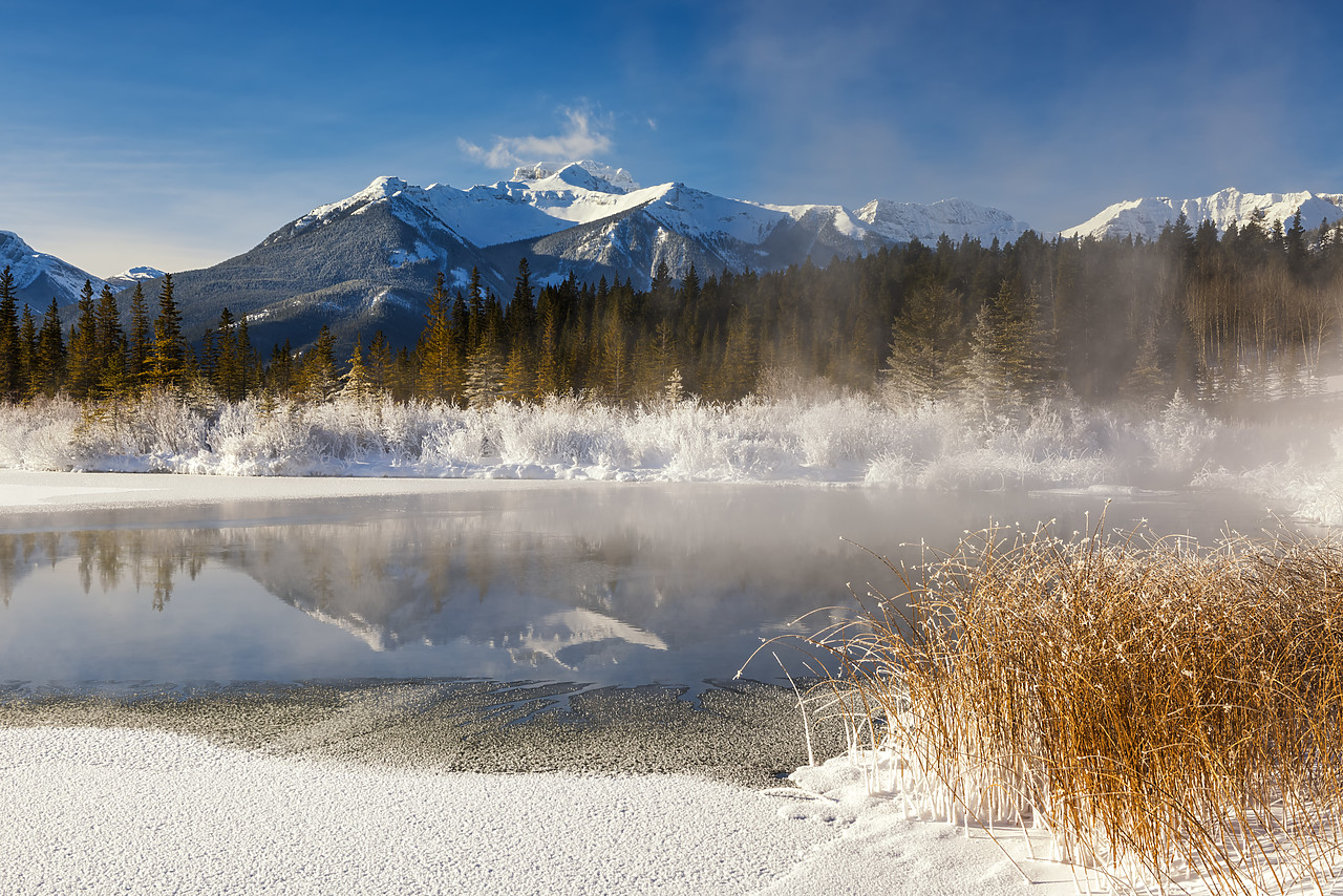 #180020-1 - Hoar Frost along Vermillion Lakes, Banff National Park, Aberta, Canada