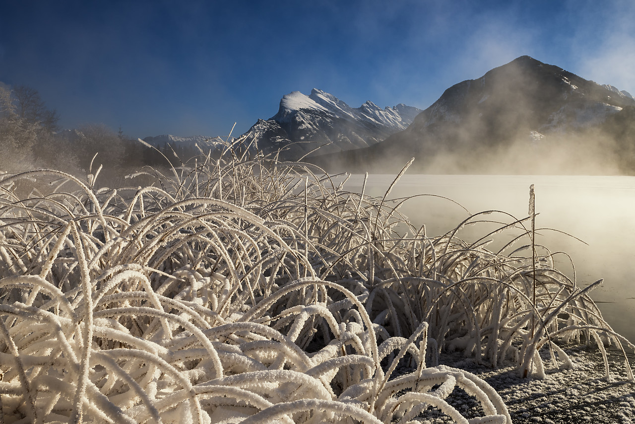 #180021-1 - Hoar Frost along Vermillion Lakes, Banff National Park, Aberta, Canada