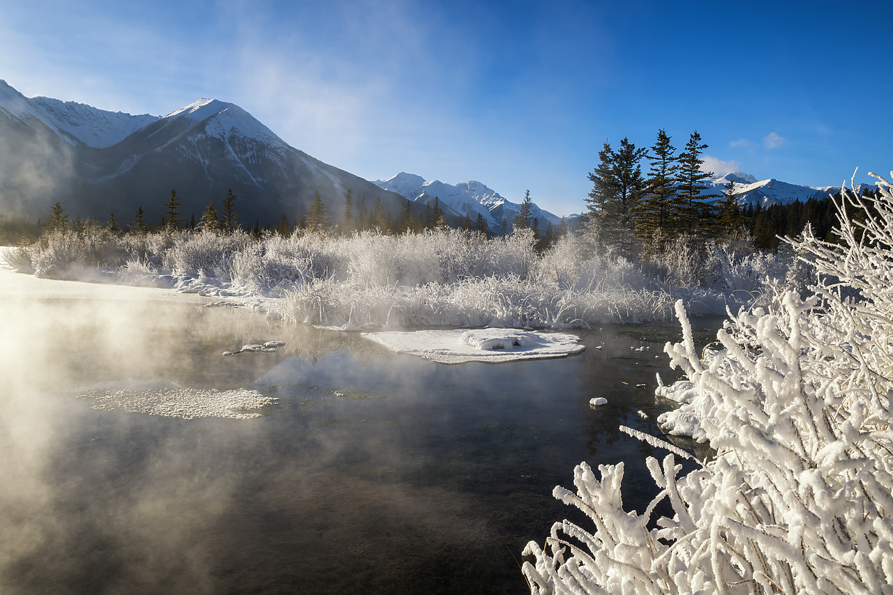 #180022-1 - Hoar Frost along Vermillion Lakes, Banff National Park, Aberta, Canada