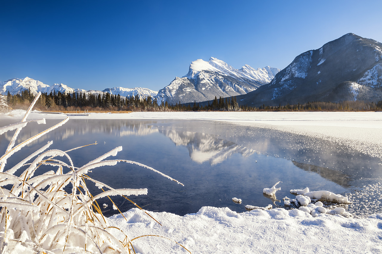#180024-1 - Hoar Frost along Vermillion Lakes, Banff National Park, Aberta, Canada
