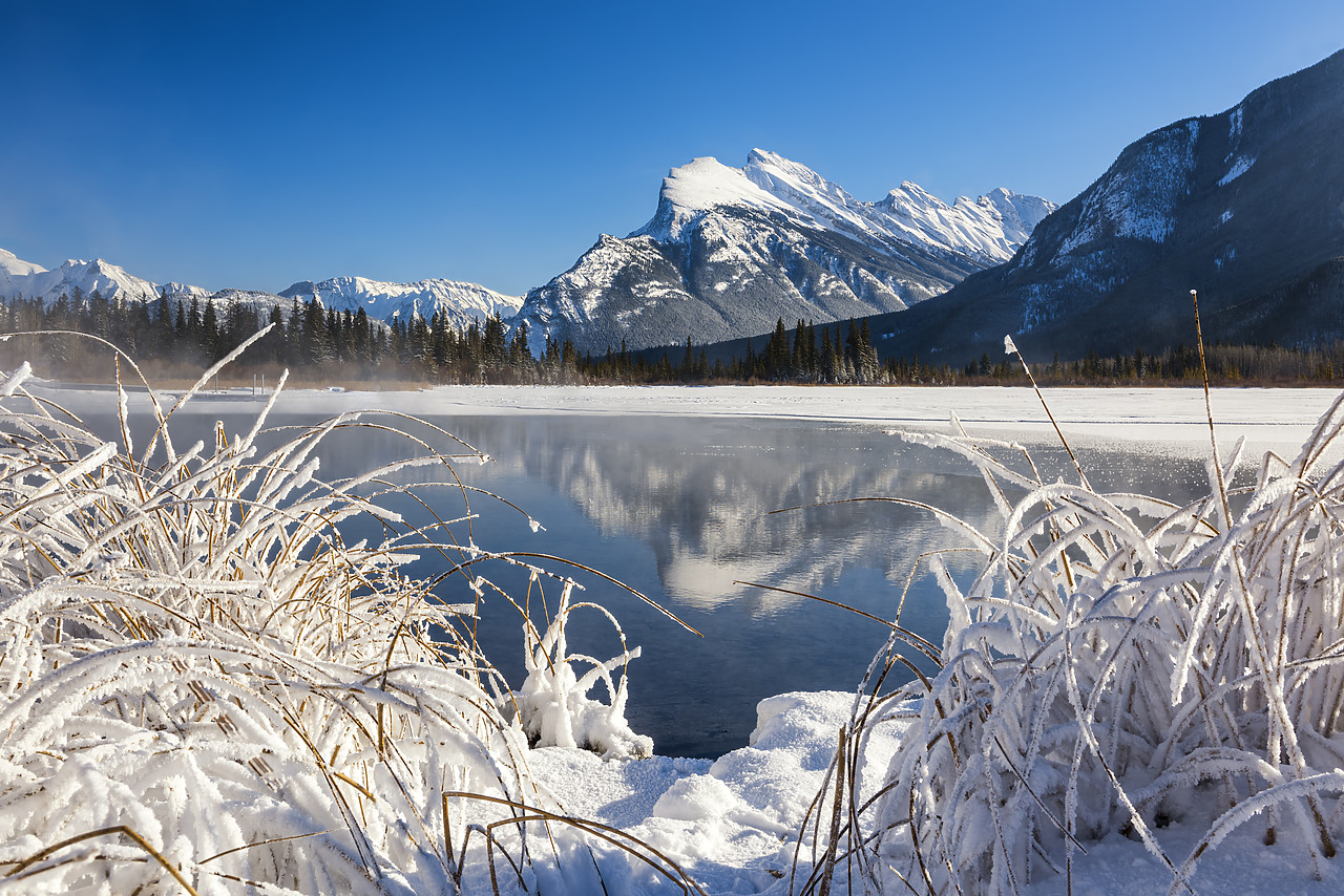 #180026-1 - Hoar Frost along Vermillion Lakes, Banff National Park, Aberta, Canada