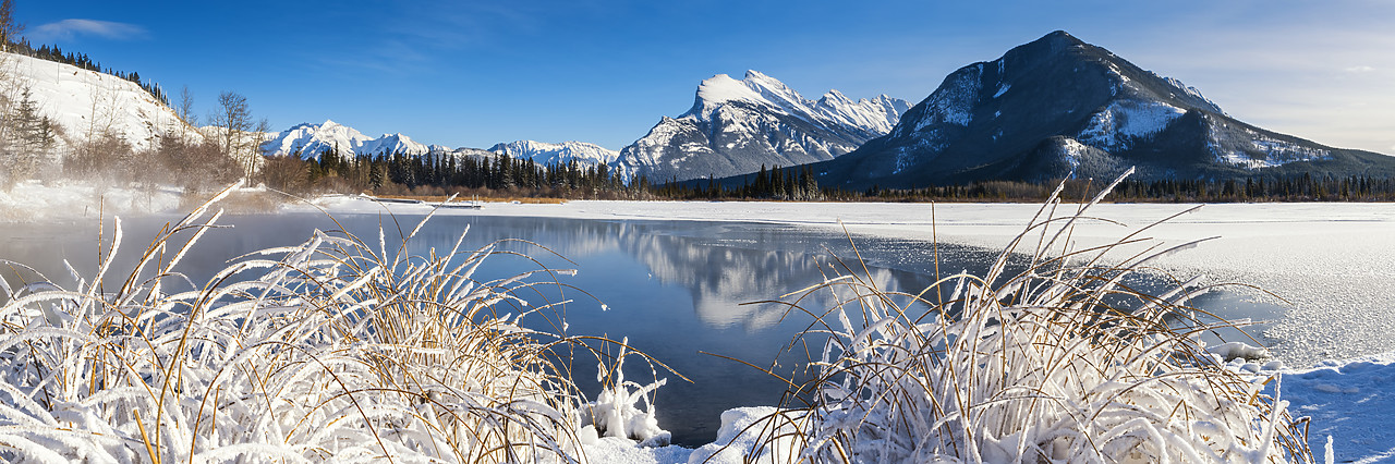 #180026-2 - Hoar Frost along Vermillion Lakes, Banff National Park, Aberta, Canada