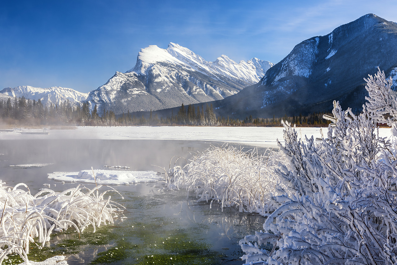 #180027-1 - Hoar Frost along Vermillion Lakes, Banff National Park, Aberta, Canada