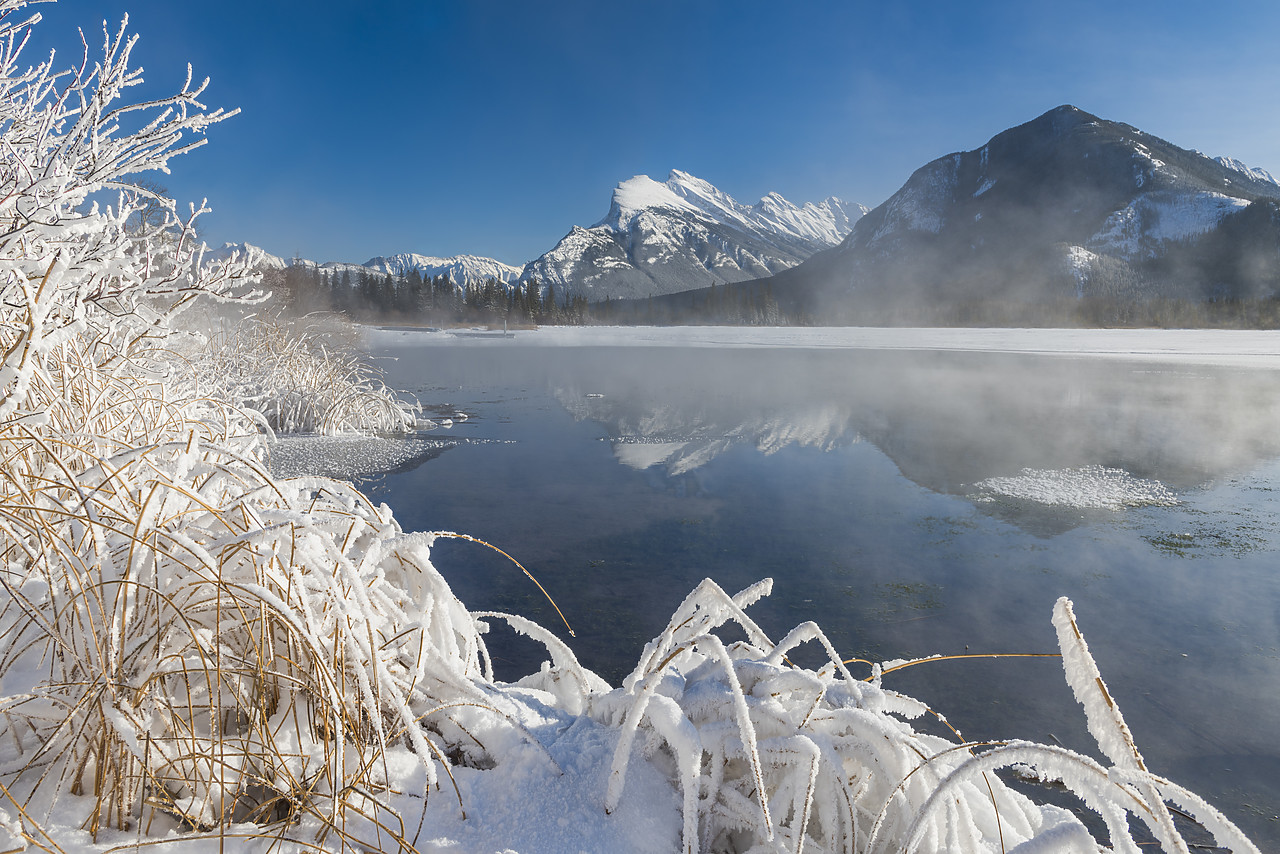 #180028-1 - Hoar Frost along Vermillion Lakes, Banff National Park, Aberta, Canada