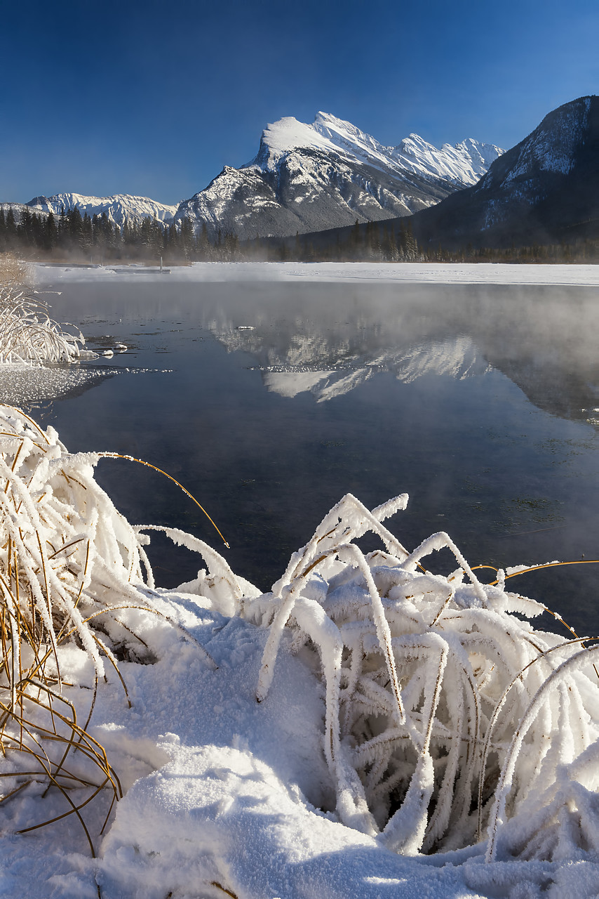 #180028-2 - Hoar Frost along Vermillion Lakes, Banff National Park, Aberta, Canada