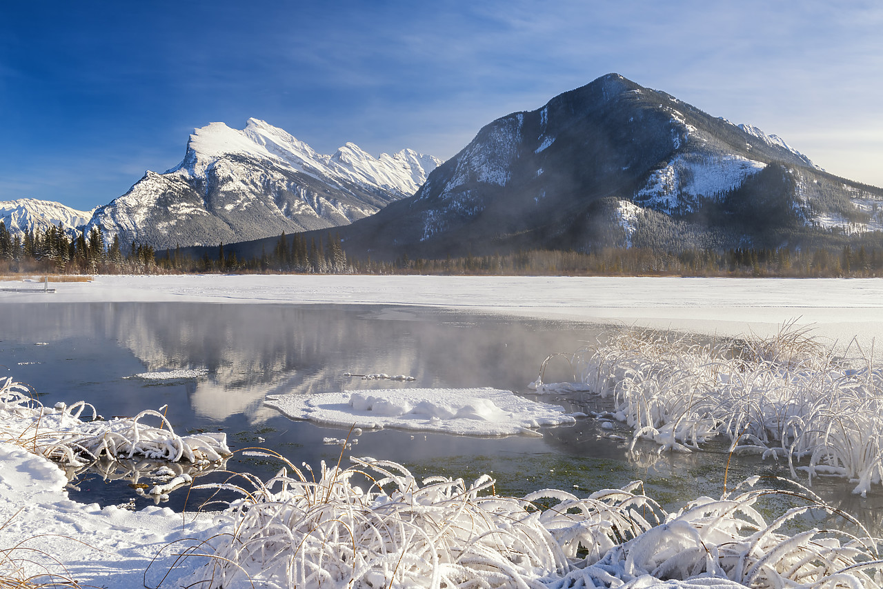 #180029-1 - Hoar Frost along Vermillion Lakes, Banff National Park, Aberta, Canada