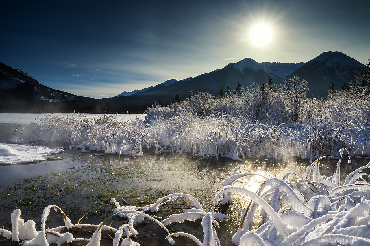 #180030-1 - Hoar Frost along Vermillion Lakes, Banff National Park, Aberta, Canada