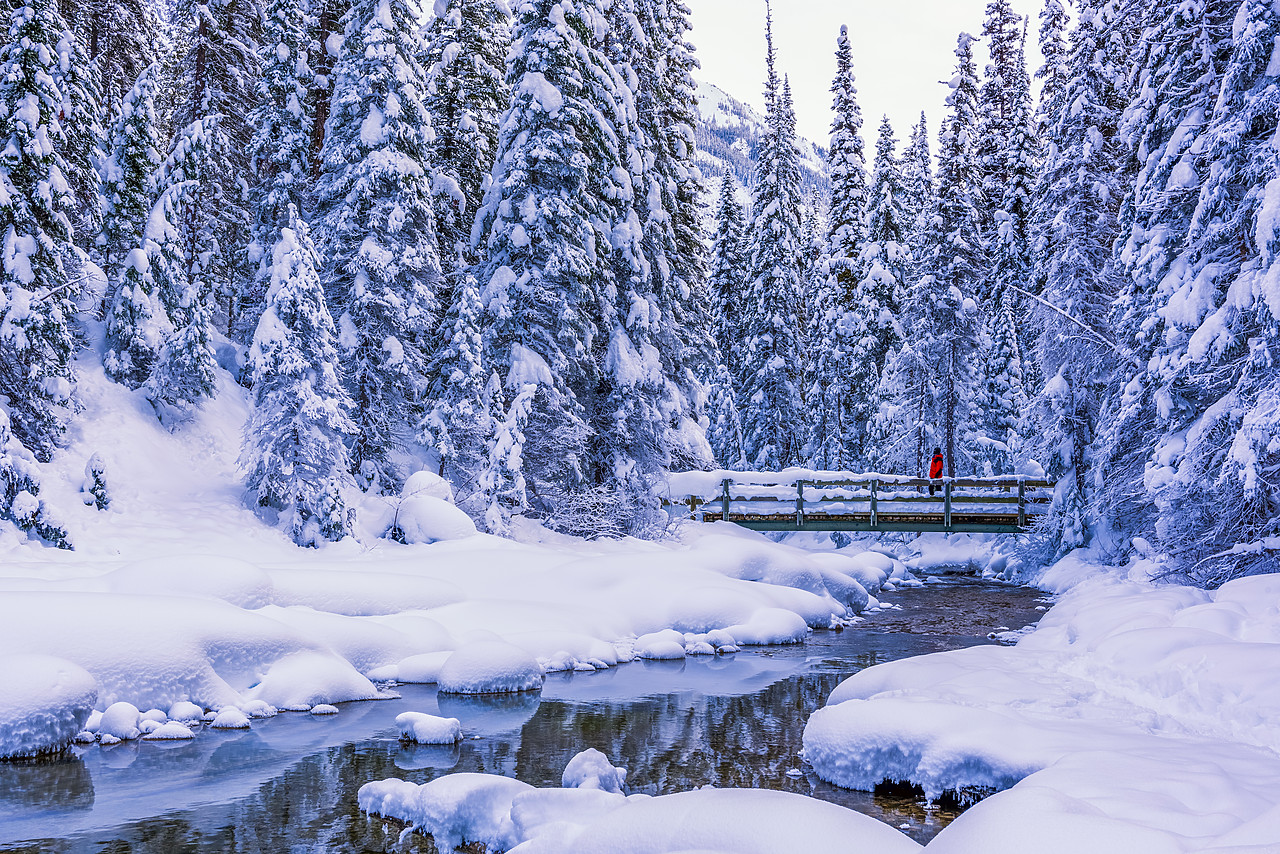 #180035-1 - Winter Wonderland, Yoho National Park, British Columbia, Canada