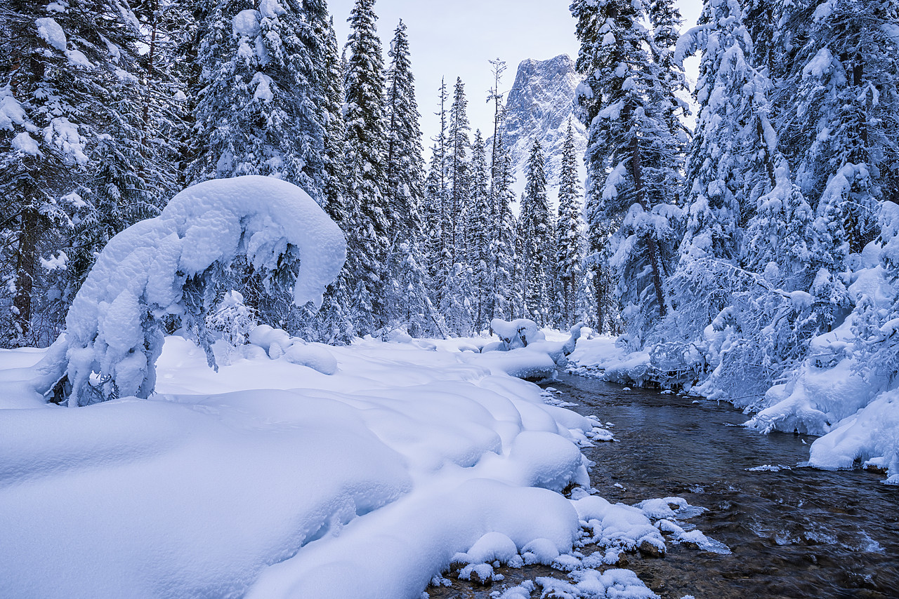 #180036-1 - Winter Wonderland along Emerald River, Yoho National Park, British Columbia, Canada