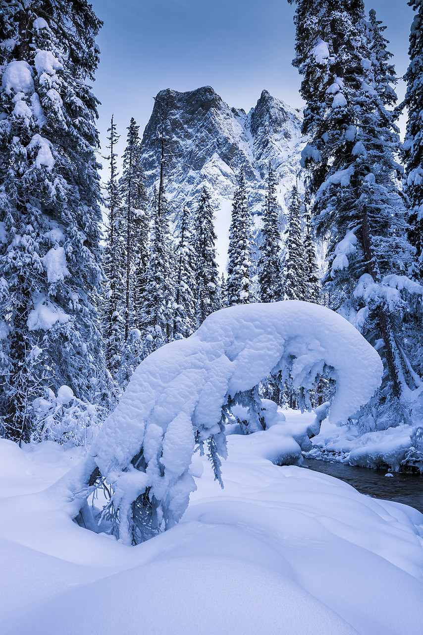 #180037-1 - Mt. Burgess in Winter, Yoho National Park, British Columbia, Canada