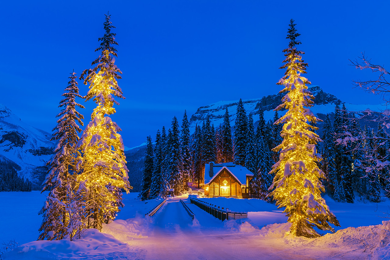 #180039-1 - Christmas Trees at Emerald Lake, Yoho National Park, British Columbia, Canada