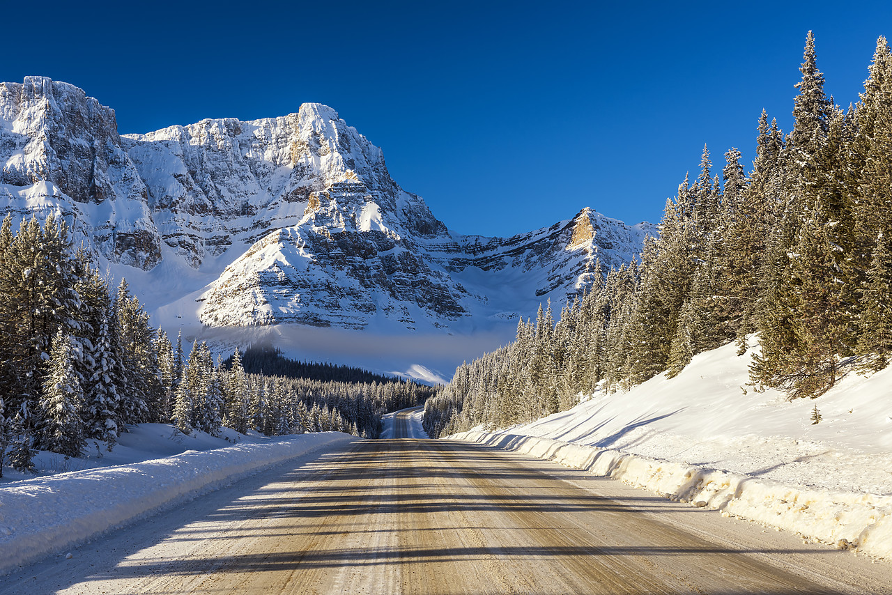 #180049-1 - Icefields Parkway, Banff National Park, Aberta, Canada