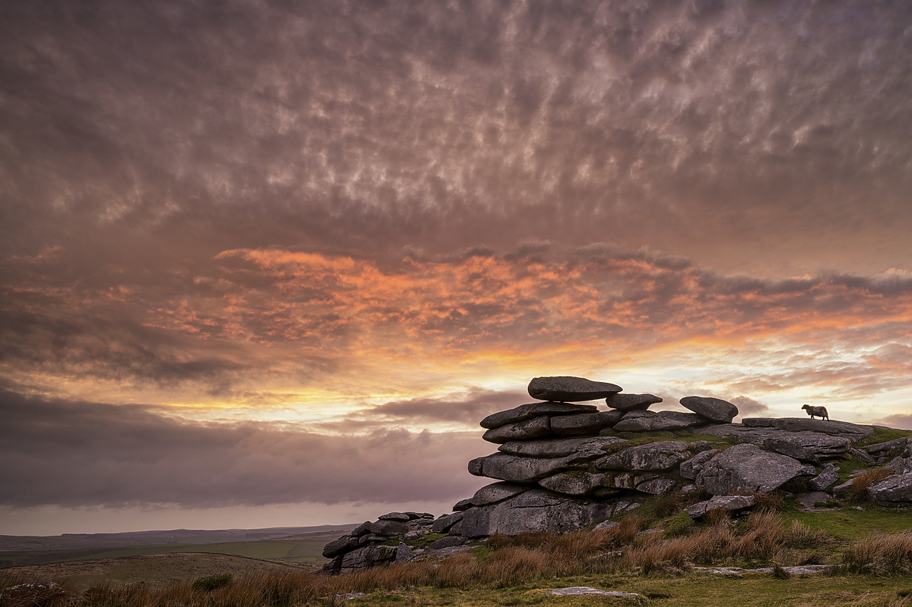 #180192-1 - The Cheesewring at Sunset, Bodman Moor, Cornwall, England