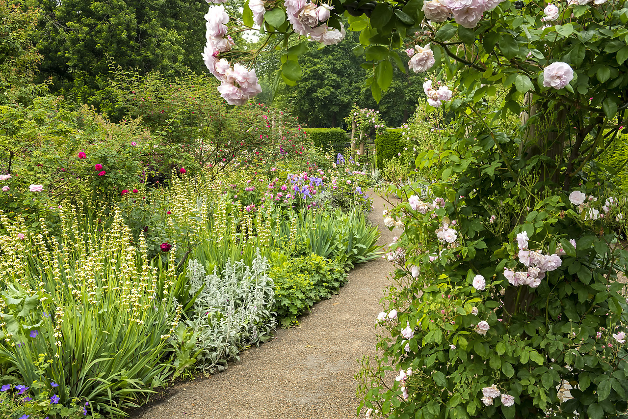 #180240-1 - The Rose Garden, Hyde Park, London, England