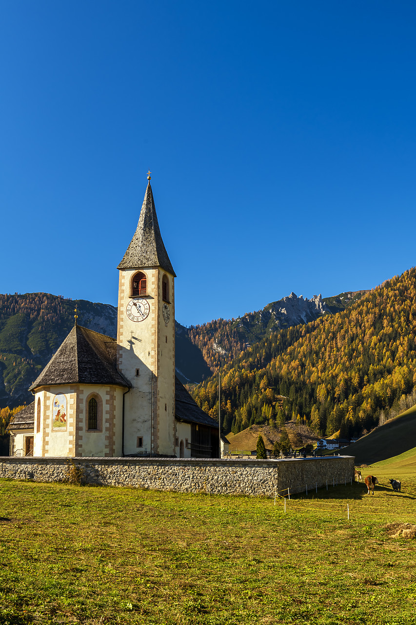 #180494-2 - Church of St. Veit in Autumn, San Vito, South Tyrol, Dolomites, Italy