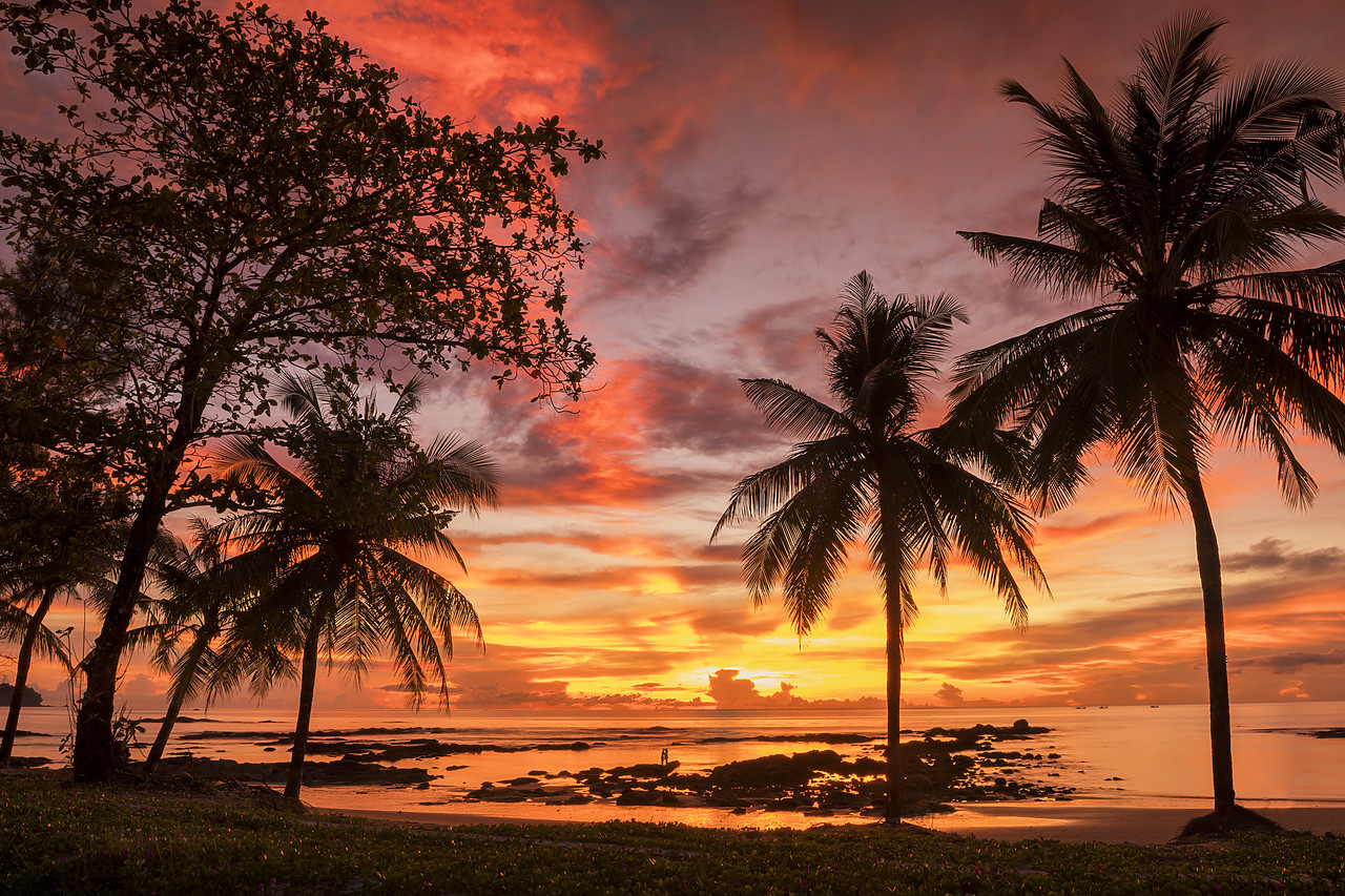 #180521-1 - Palm Trees at Sunset, Khao Lak, Phang-nga, Thailand, Asia