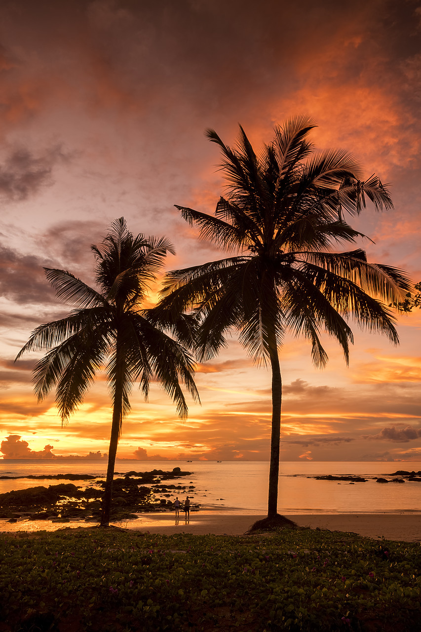 #180521-2 - Palm Trees at Sunset, Khao Lak, Phang-nga, Thailand, Asia