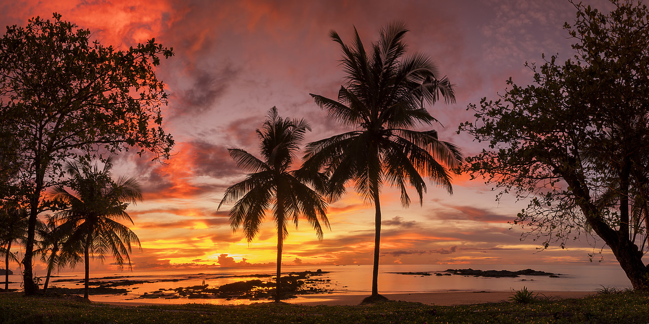 #180521-3 - Palm Trees at Sunset, Khao Lak, Phang-nga, Thailand, Asia