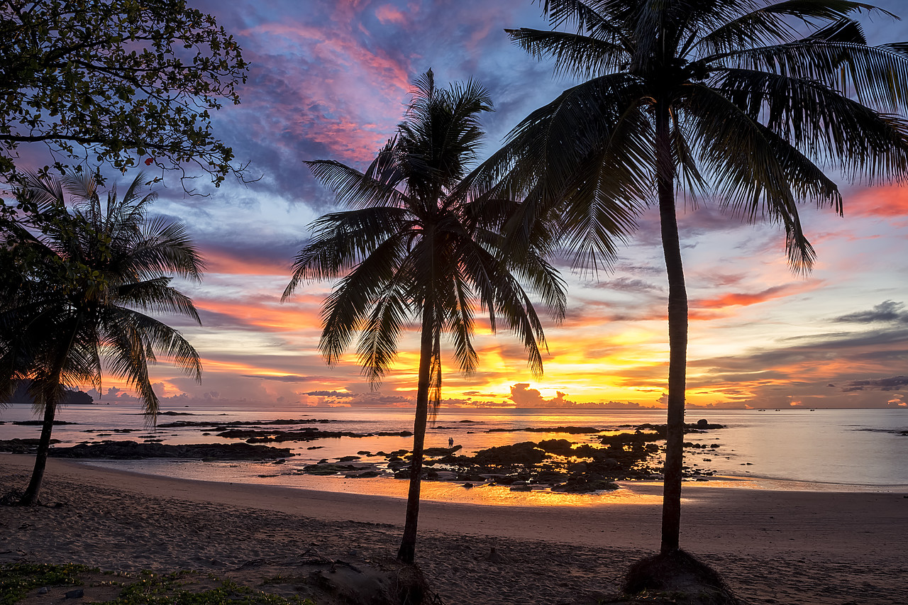 #180522-1 - Palm Trees at Sunset, Khao Lak, Phang-nga, Thailand, Asia