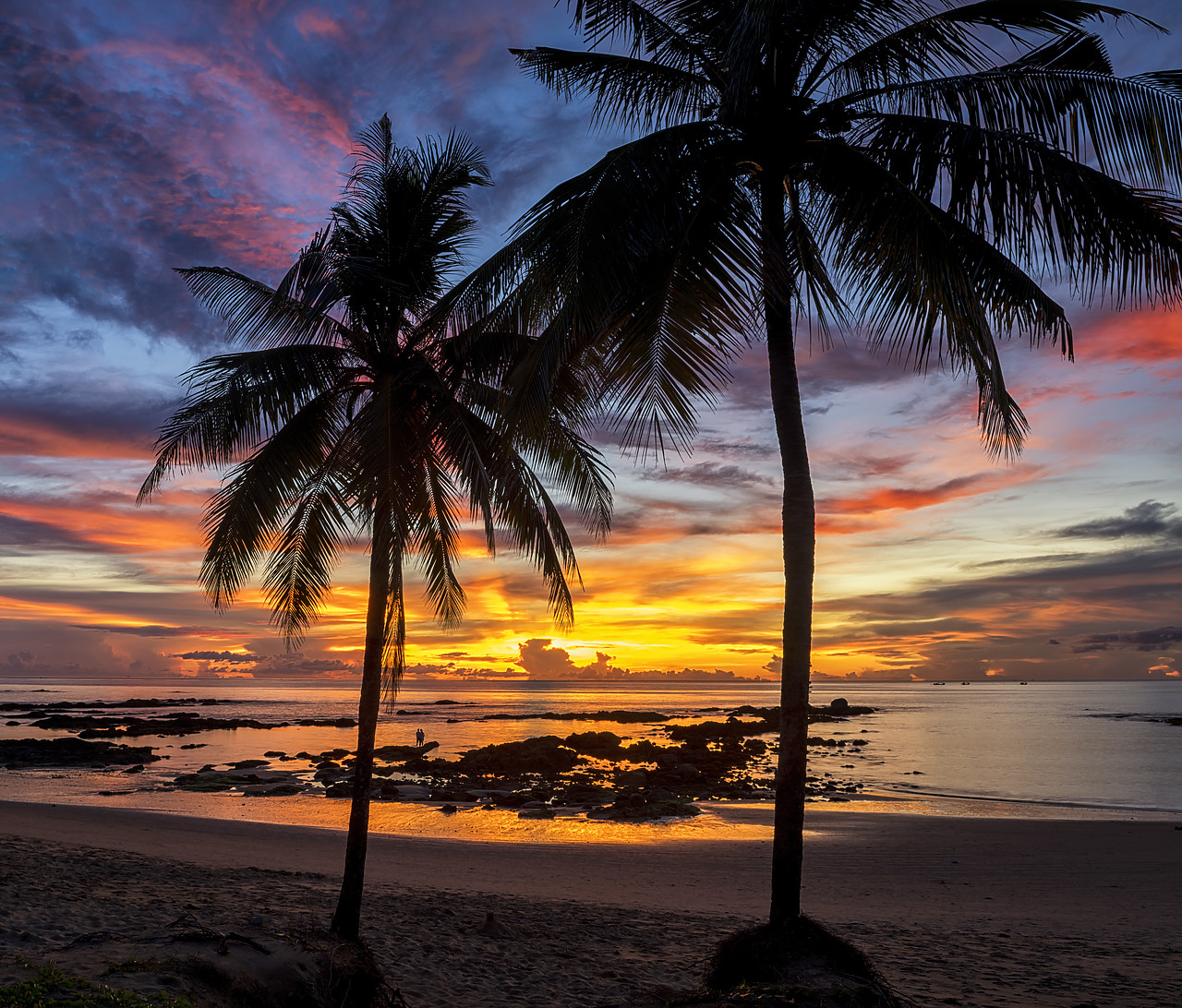 #180522-2 - Palm Trees at Sunset, Khao Lak, Phang-nga, Thailand, Asia