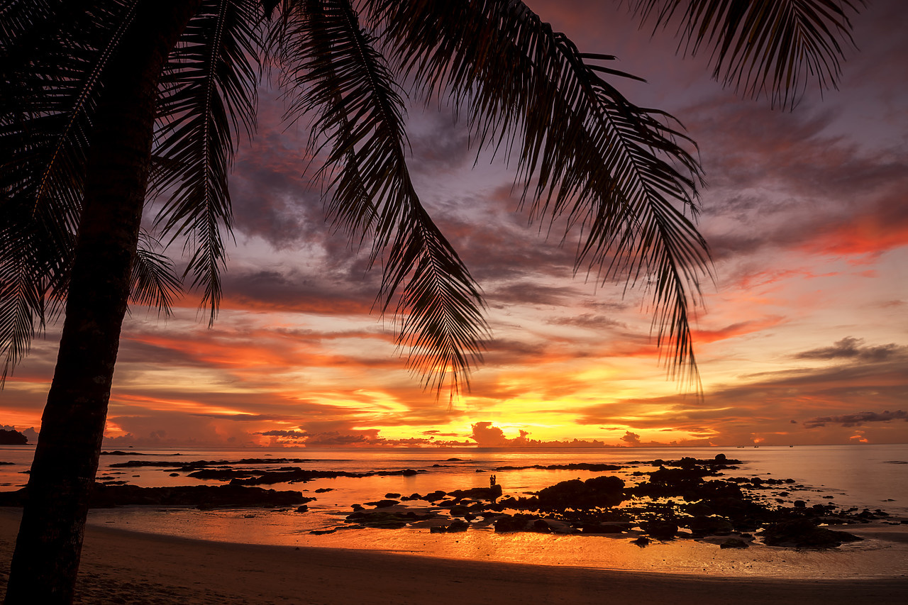 #180523-1 - Palm Tree at Sunset, Khao Lak, Phang-nga, Thailand, Asia