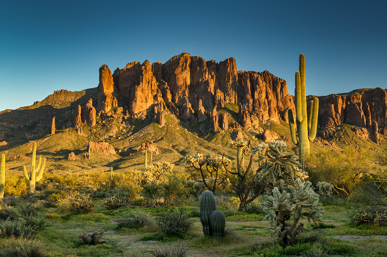 #190076-1 - Superstition Mountains, near Phoenix, Arizona, USA
