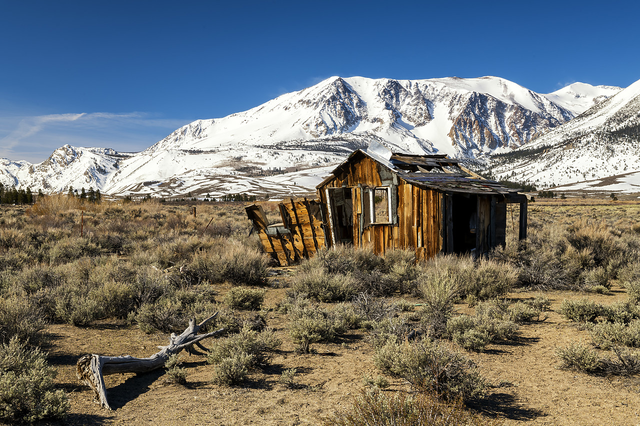 #190111-1 - Old Shack, Sierra Nevadas, near Lee Vining, California, USA