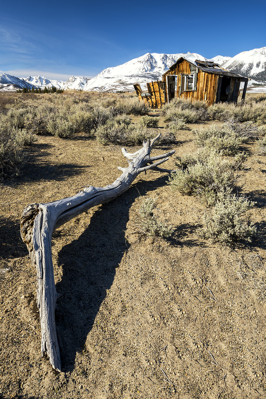 #190112-1 - Old Shack, Sierra Nevadas, near Lee Vining, California, USA