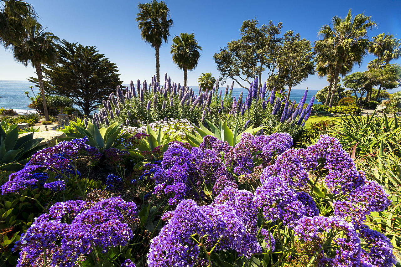 #190136-1 - Heisler Park, Laguna Beach,  California, USA