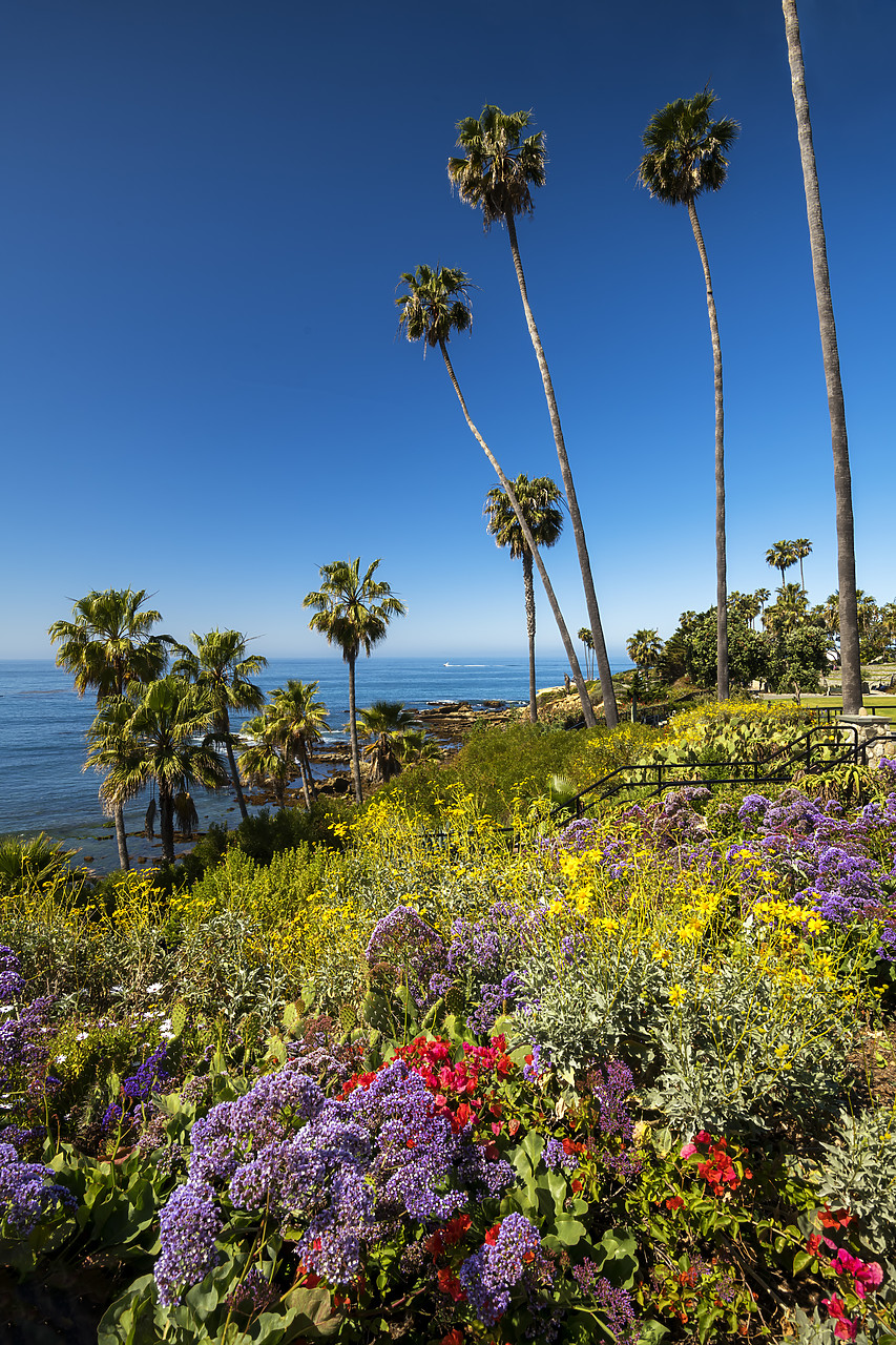 #190137-1 - Heisler Park, Laguna Beach,  California, USA