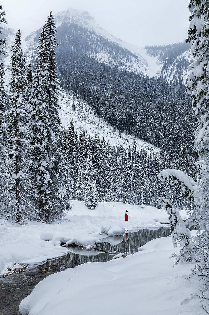 #190147-1 - Winter Queen in Red, British Columbia, Canada