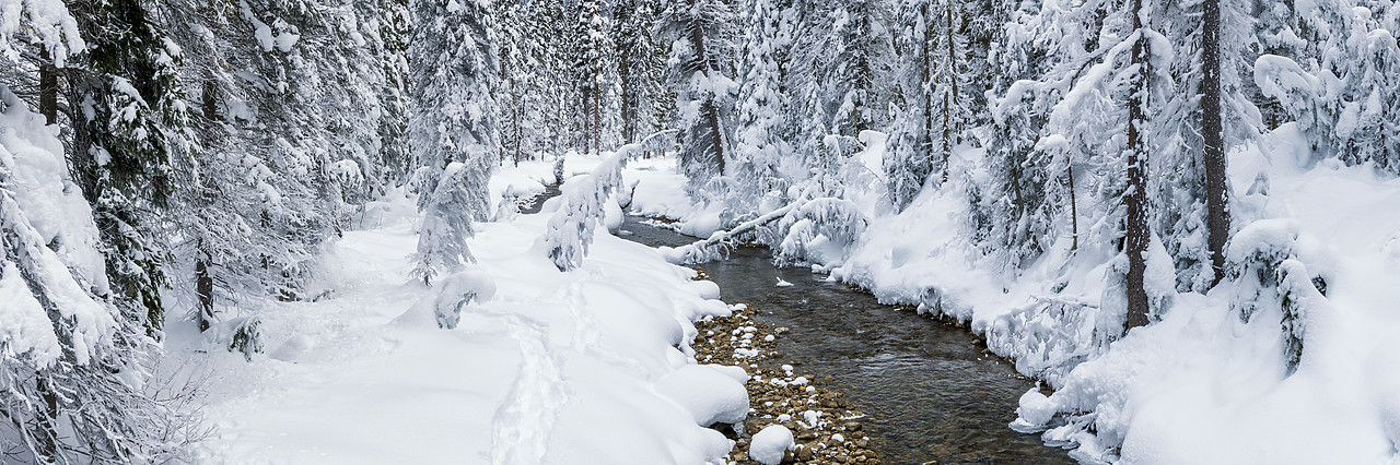#190153-1 - Forest Stream in Winter, British Columbia, Canada